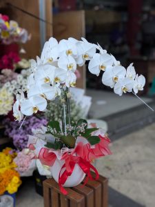 Rangkaian bunga anggrek elegan dari Raja Florist Semarang, cocok untuk hadiah berkelas seperti duka cita, ulang tahun, dan peresmian toko.